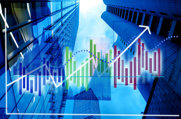 The Anatomy of a Bubble: From Tulip Mania to the Digital Gold Rush